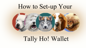 How to Set-Up Your Tally Ho! Web3 Wallet.
