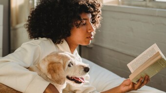 What Makes a Story Boring?