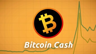 Roger Ver states that Bitcoin Cash will rise over 1000%