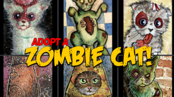 Adopt a Zombie Cat - the first litter