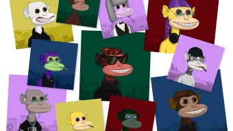 NFT Spotlight: Gambling Apes & The Metaverse Casino