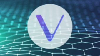 Does VeChain's (VET) Governance Even Enable it to Solve the Globe's Supply Chain Issues?