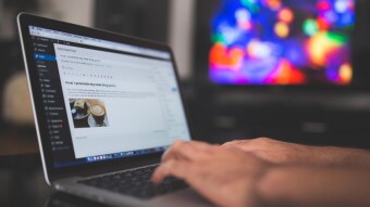 Why Should You Use WordPress To Build Your Website?