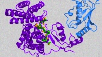 Ubiquitin (A Poem A Day #13)