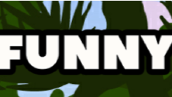 FunnyCats: My newest adventure