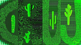 CryptoCacti series has been minted on Opensea