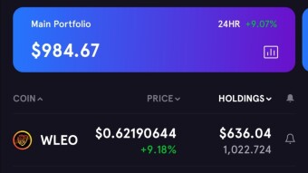 My Crypto Journey || From Rags To Riches || Day 2 || Almost At 1000$