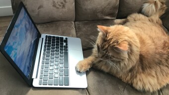 Cloud Computing: A brief article I wrote for one of my college courses.