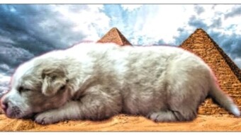 (JaiChai) - "Breaking: Age of Ancient Monolith is Re-Written" (Humor/Parody/Fiction)