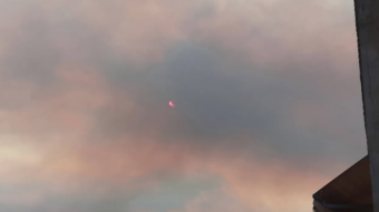 Smoke and fire. Our forests are being burned!