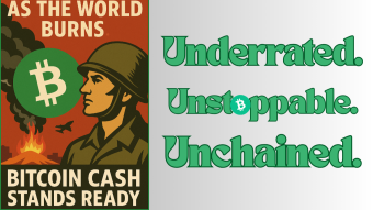 As the World Burns, Bitcoin Cash Stands Ready