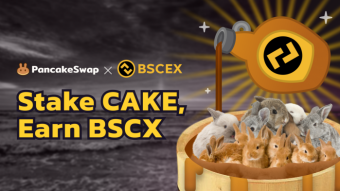 PancakeSwap Introduces Bscex to Syrup Pool! Stake CAKE, Earn BSCX!