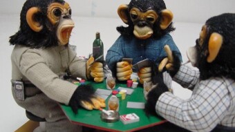 Cryptocurrency: Money for Monkeys With Thumbs
