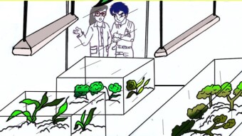 Episode 3: The Tree Whisperer: Part 3