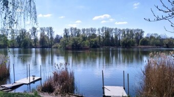 A beautiful, truly spring Saturday - My Actifit Report Card: April 18, 2026