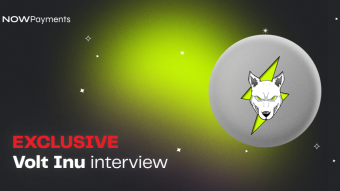 Meet VOLT: Interview with Volt Inu token