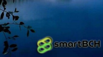 My SmartBCH Adventure: Feeling Little But Big Benefits for me