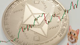 ETH: big and old wallets on the move, charts showing direction of the money flow