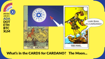 CRYPTO TKOs Issue #006: What's in the CARDs for CARDANO?: Flareout or Success?