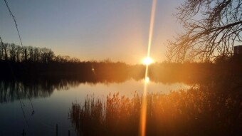 Sunny all day and getting warmer - My Actifit Report Card: March 19, 2025