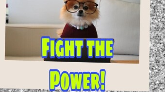 Fight the Power!