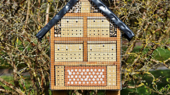 Warum kommerzielle Bienenhotels bzw. Insektenhotels z. Bsp. aus dem Baumarkt in den meisten Fällen völlig ungeeignet für Insekten sind