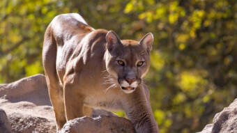 Bitcoin After the Latest Crash - Updated Charts and Money Flow Analysis