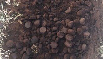 Jan 8 - 2020 Coffee grounds