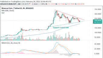 TA- Binance coin - BNB holds ground