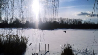 Winter has returned, it's beautiful and there's even a lot of sun