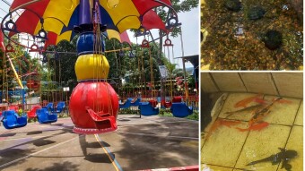 Time to visit Feni Golden Shishu Park for a day with friends.