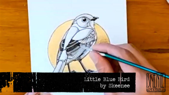 Speed Drawing: Little Blue Bird