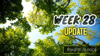 Week 28 Update