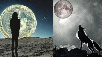 The Interesting Thing About Crypto Nobody Talks About