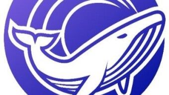 WhaleMaker I A Fundraising Platform for Massive Disruption