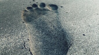 Inner Source: Hermes THE BIGFOOT
