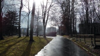 Kaleidoscope weather - My Actifit Report Card: February 25 2023