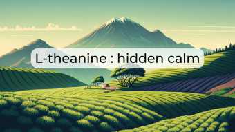 L-theanine: the secret behind the calming effect of green tea.