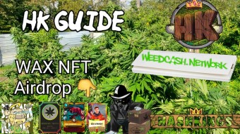 Chubbs Hashkings Guide + WAX NFT airdrop 2nd of 3