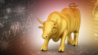 Bullrun 2021
