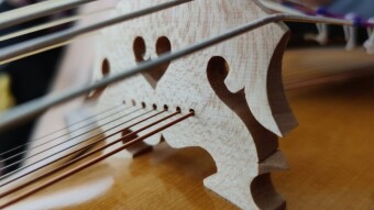 Viola d'amore in tip-top shape again!