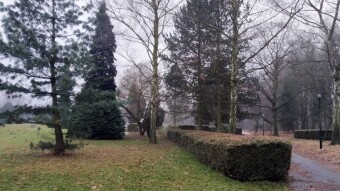 Sunday was like the previous few days - foggy but warm - My Actifit Report Card: December 21, 2025