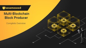 Sesameseed - Multi-Blockchain Block Producer | Everything you need to know about them