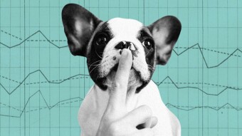 Secret (SCRT): Price Updates, Recent Developments, Future Events, Community