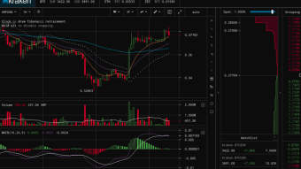 The Kraken Pool on the Value of Bitcoin and Altcoin (Close 2020)