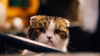 Three Practical Perspectives to Help You Overcome Offense