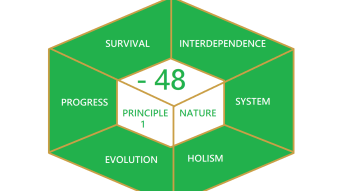 Principle 1: Nature [-48 days to start Synchronism]