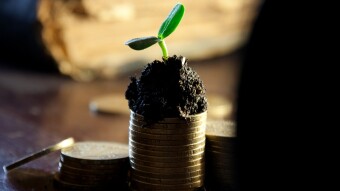 Chat2Earn - Cointiply Explained [+5% interest per annum]