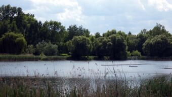 Today on the old garbage, i.e. a walk in the park, a bike, and cold - My Actifit Report Card: June 13 2023