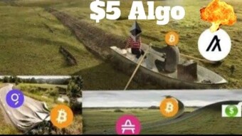 TRADING $1K ALGORAND (ALGO)CRYPTO FOR DAI